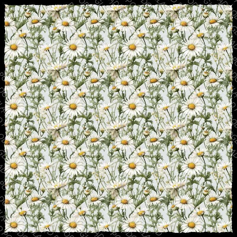 Daisy Flower